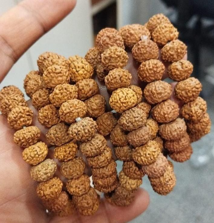 Original 7 Mukhi Rudraksha Bracelet