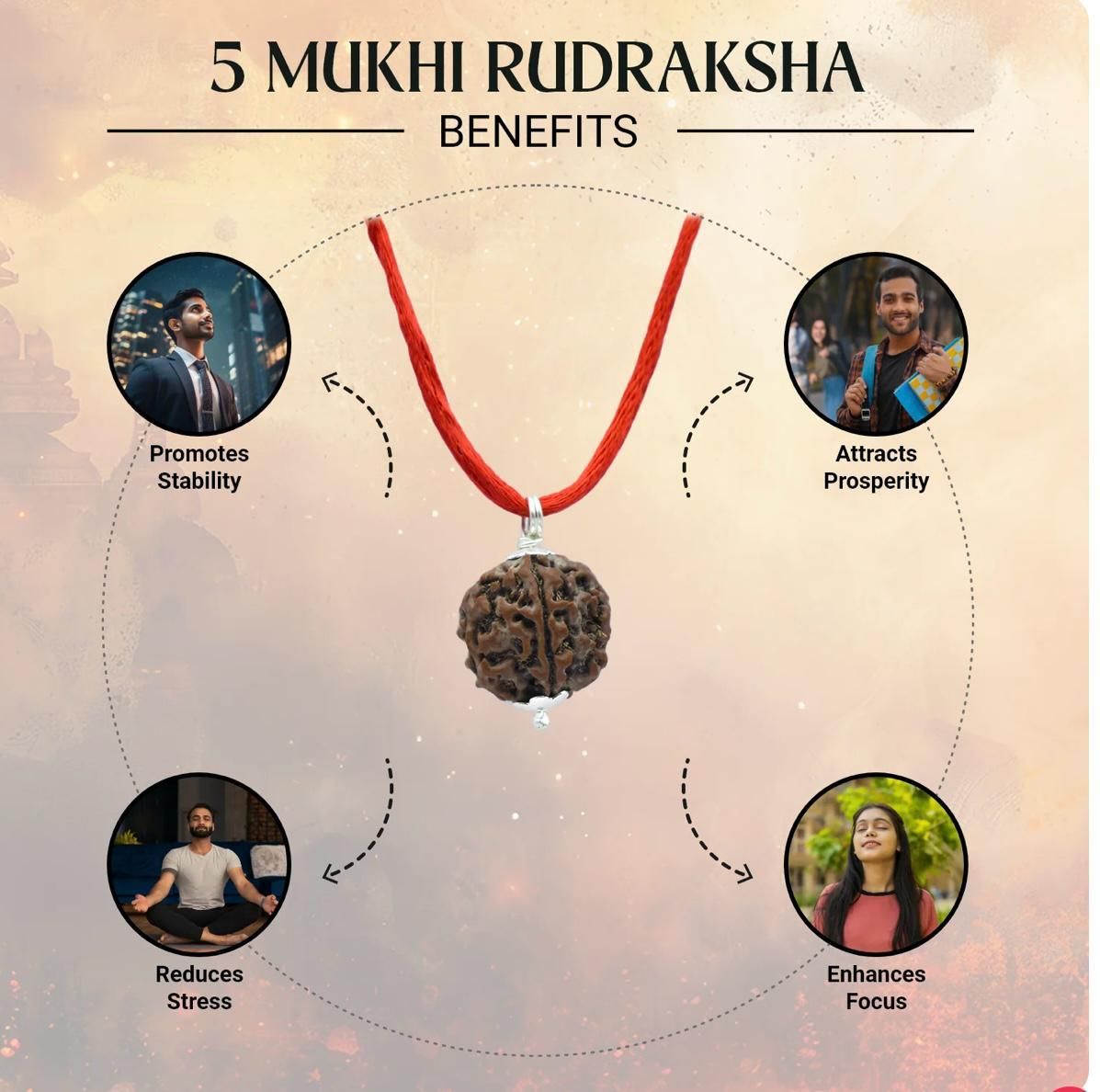 5 Mukhi Rudraksha Mala with 5 Mukhi Rudraksha Matching Bracelet