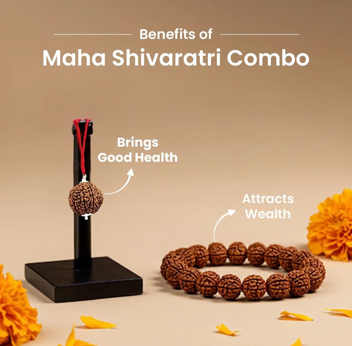 5 Mukhi Rudraksha Mala with 5 Mukhi Rudraksha Matching Bracelet