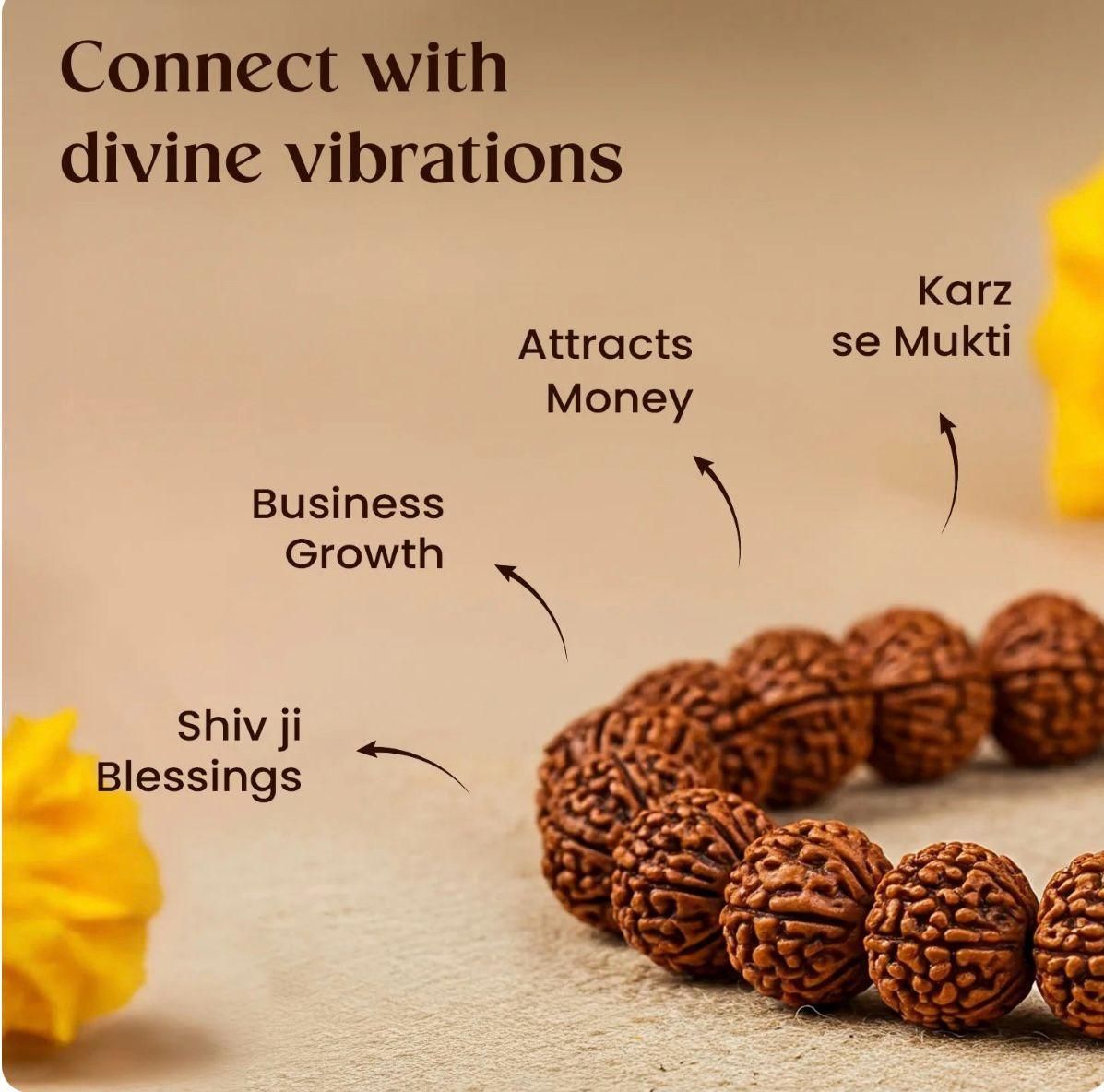 Original 7 Mukhi Rudraksha Bracelet
