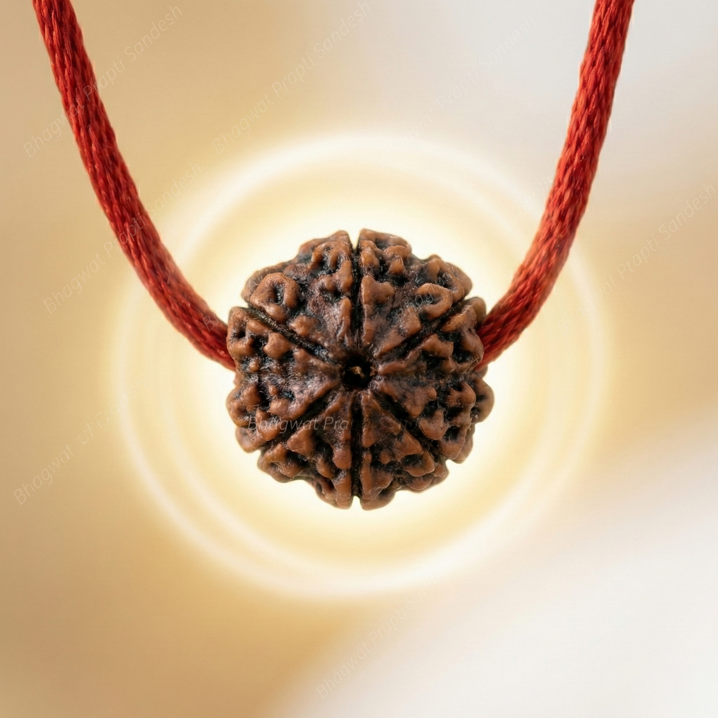 Authentic 5 Mukhi Rudraksha Chain for Stress Relief