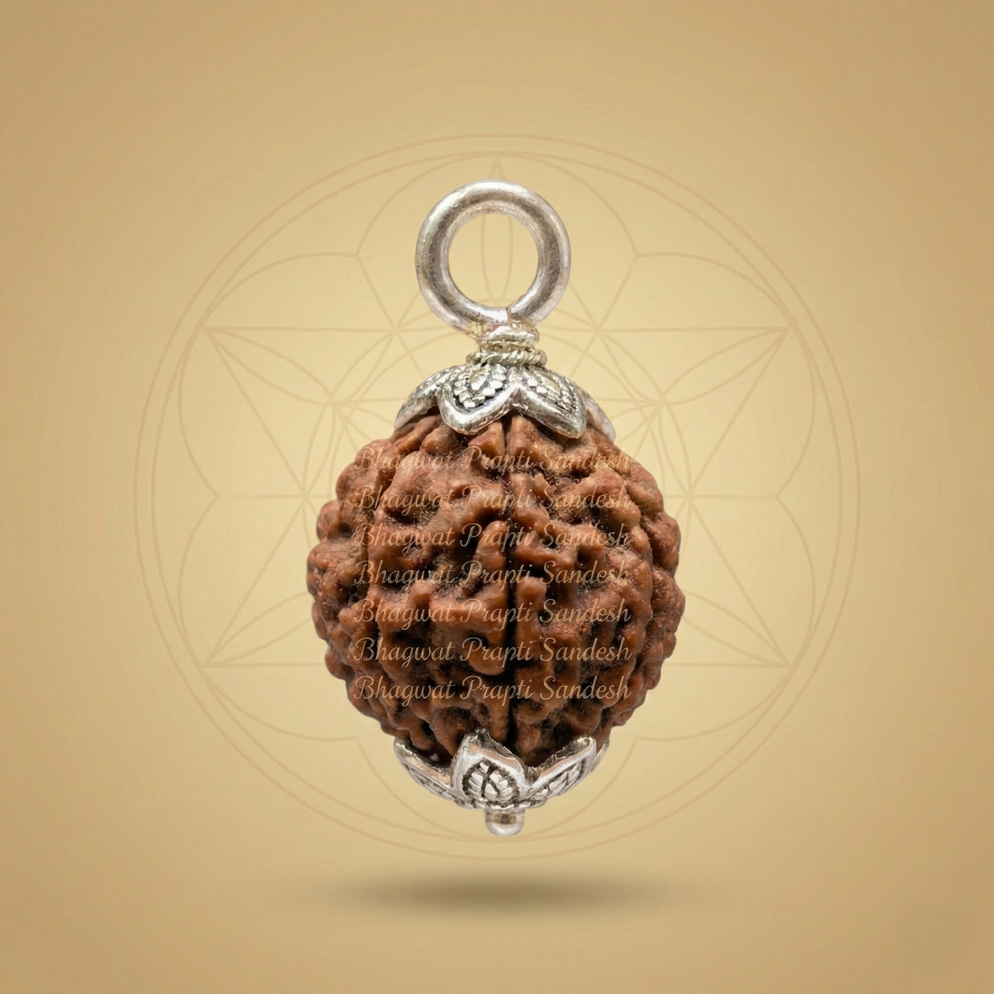 Nepali 7 Mukhi Rudraksha Silver Pendant for Wealth & Saturn (Shani) Balance