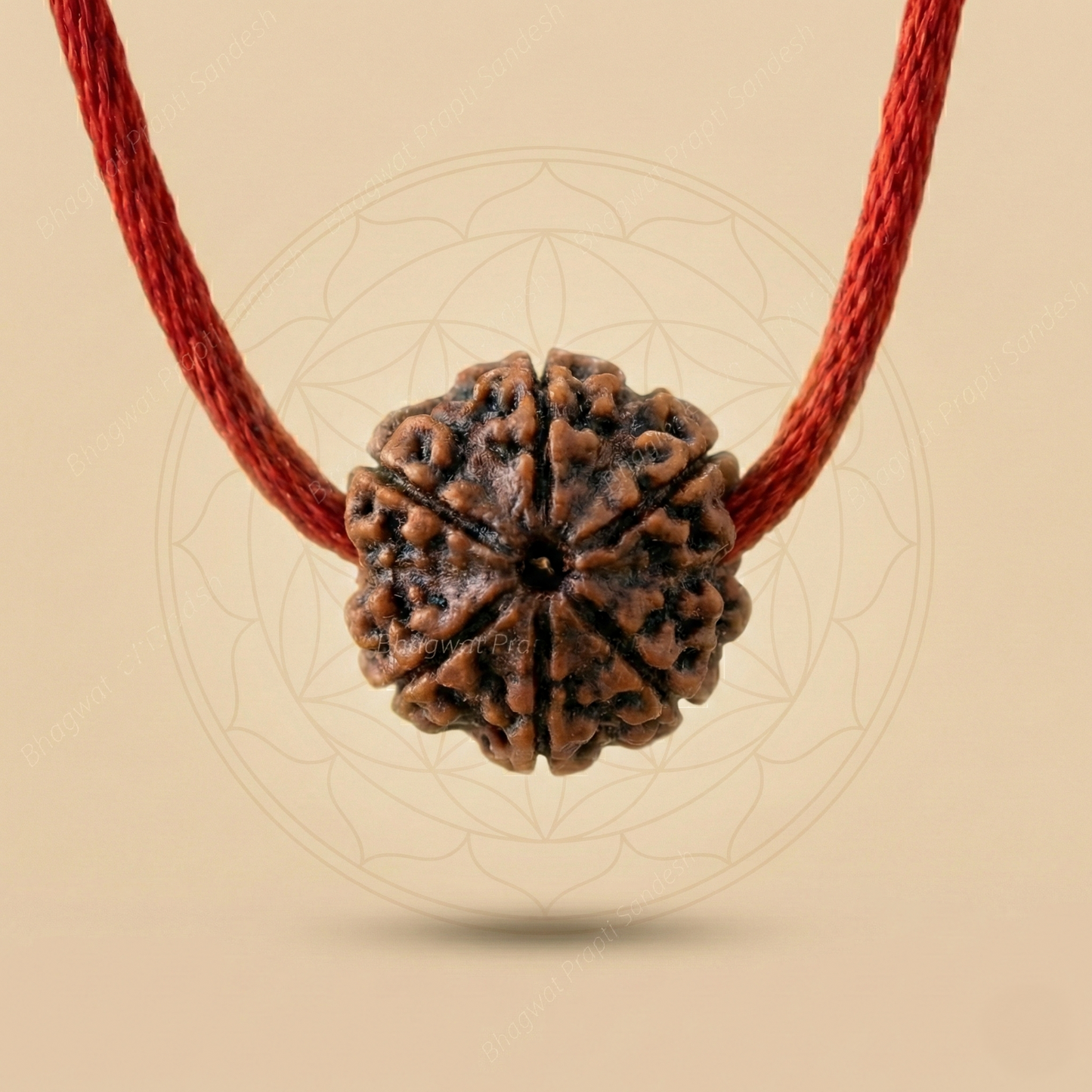 Authentic 5 Mukhi Rudraksha Chain for Stress Relief