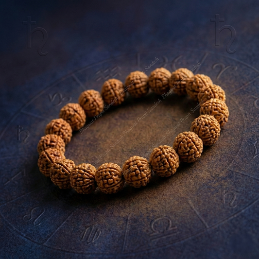 Original 7 Mukhi Rudraksha Bracelet
