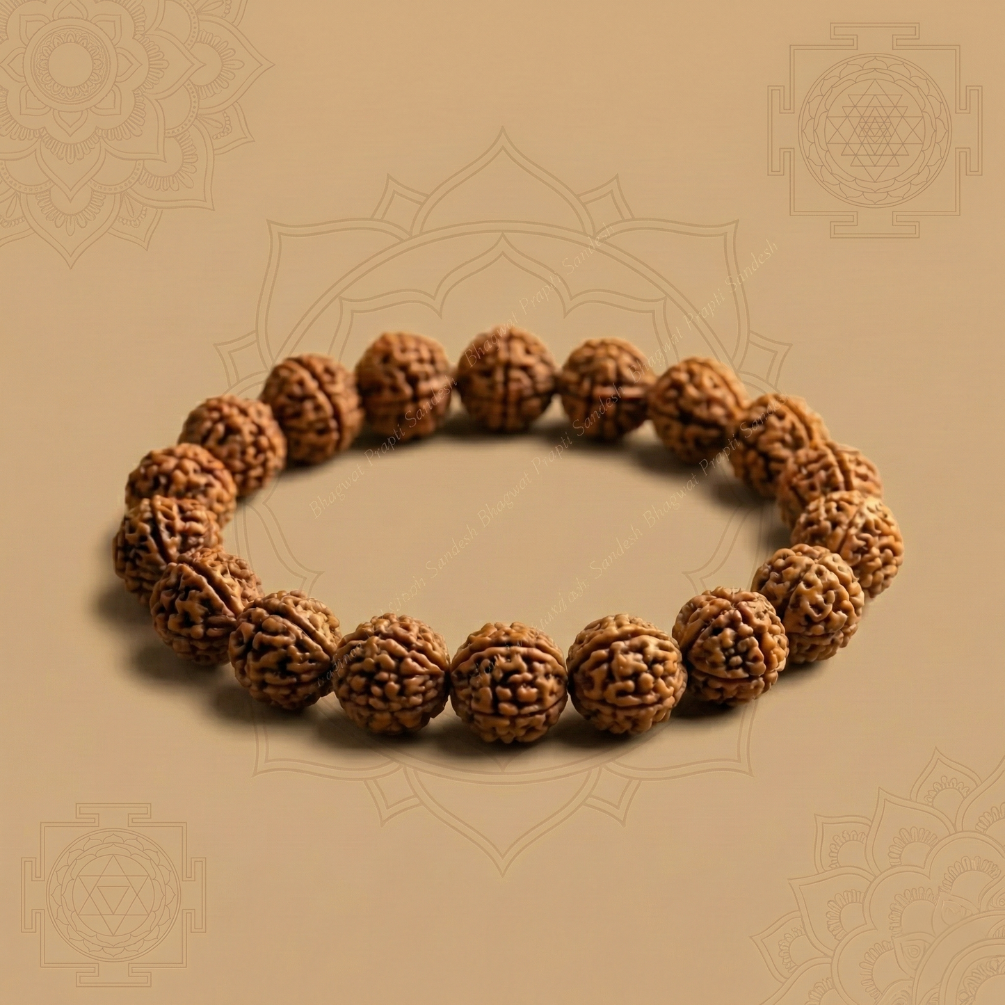 Original 7 Mukhi Rudraksha Bracelet
